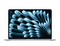 Ноутбук Apple MacBook Air 13 2025, 2560x1664 Apple M4, RAM 16 ГБ, SSD 512 ГБ, MC6U4, Sky blue (Небесно-голубой) - фото 22981